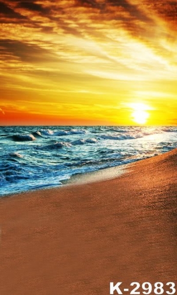 Sea Waves Sandy Beach under Sunset Scenic Photo Prop Background