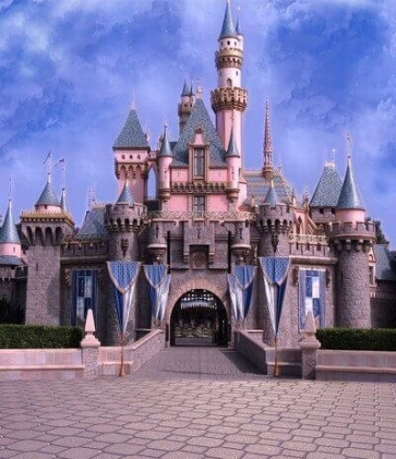 Beautiful Castle Backdrop For Birthday Party Photography Background