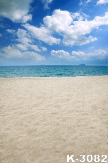 Summer Vacation Seaside Beach Photo Prop Background