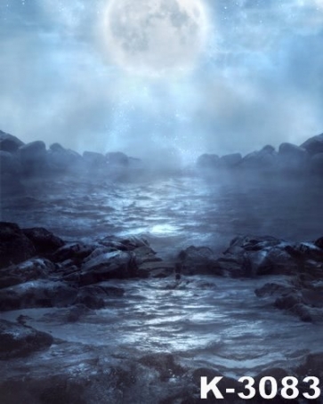 Moonlight Night Rocks Seaside Scenic Photo Prop Background