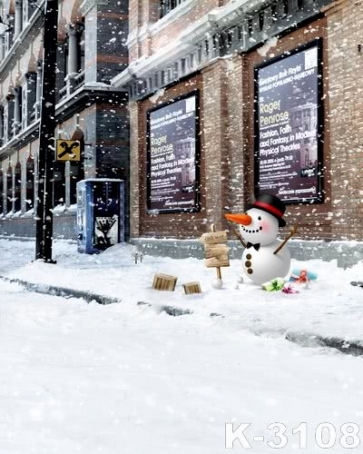 Snowing Street Indicator Christmas Photo Background Photography Backdrops