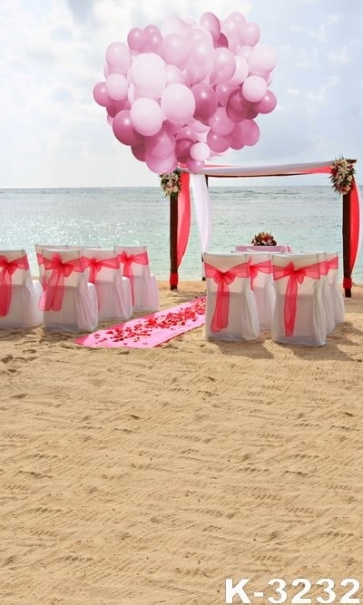 Romantic Pink Balloons Beach Wedding Pro Photo Backdrops