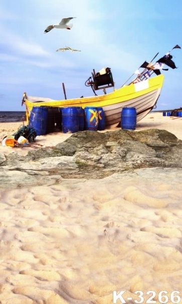 Seaside Boat Seagulls Sandy Beach Backdrop Background for Photography