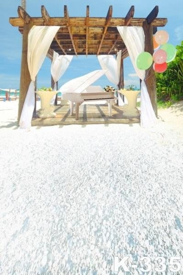 Summer White Sandy Beach Colorful Balloons Wedding Backdrop