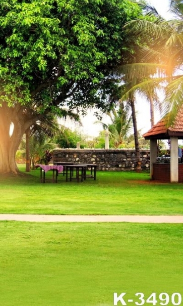 Green Grassland Big Tree in the Yard Scenic Photography Backdrops