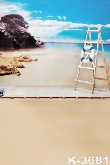 Seaside Wood Ladder by Sandy Beach Camera Backdrops