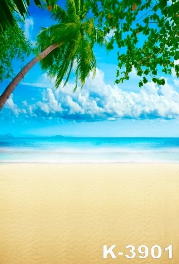 Blue Sky White Clouds Coconut Tree Beach Backdrop