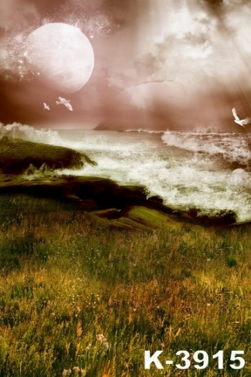 Scenic Moon Sea Grass Vinyl Photography Backdrops