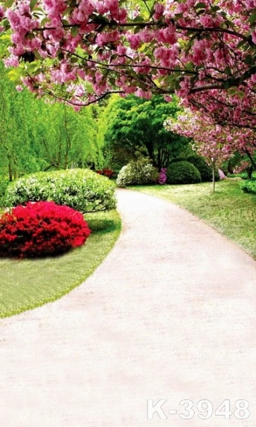 Roadside Green Grass Land Flowers in Park Scenic Photo Backdrop