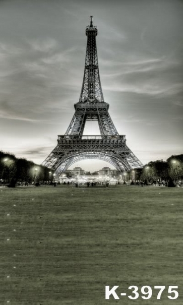 Paris Eiffel Tower City Night Vinyl Photography Background Backdrops