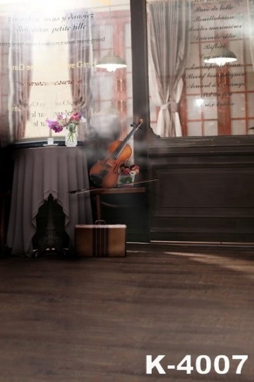 Poetic Violin Indoor Wedding Photo Backdrops Studio Background