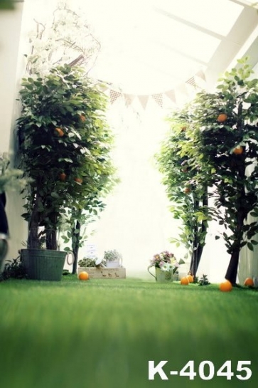 Horizontal View Green Trees Indoor Vinyl Wedding Photography Backdrops