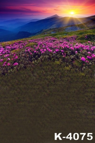 Flowers on Mountaintop Sunset Scenic Photography Backgrounds and Props