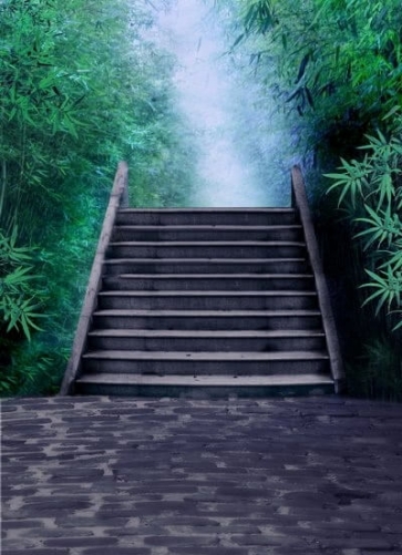 Spring Stone Bridge in Bamboo Grove Scenic Photoshoot Background