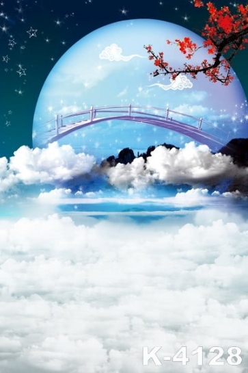 Moon in Clouds Bridge in Moon Vinyl Photo Scenic  Backdrops