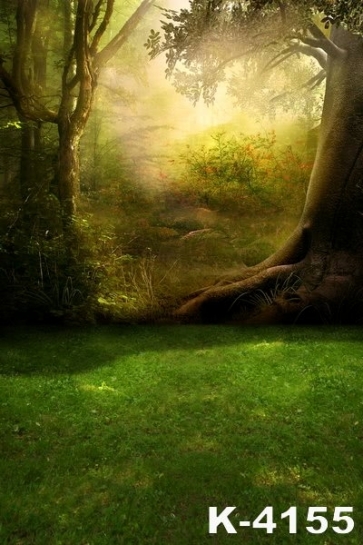 Groves in Fairy Tales Green Grassland Scenic Photography Background Props