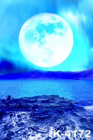 The Sea Very Close To The Moon Custom Backdrops