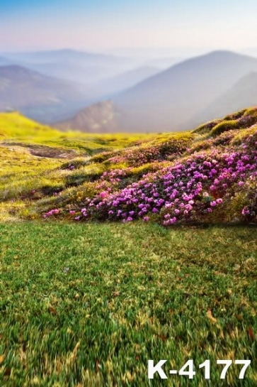 Beautiful Purple Flowers on Mountaintop Scenic Photo Drop Background