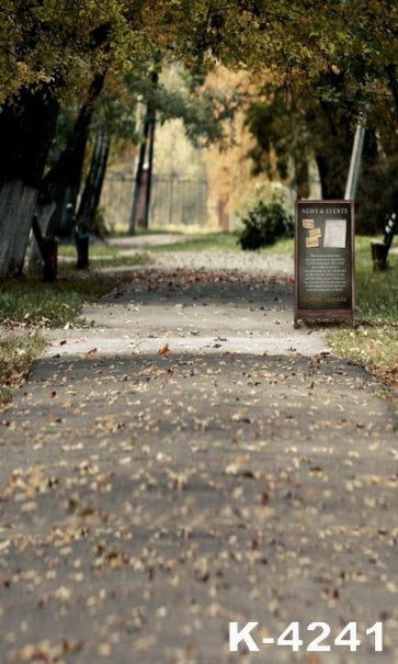 Autumn Fall Fallen Leaves Garden Path Photography Backgrounds and Props