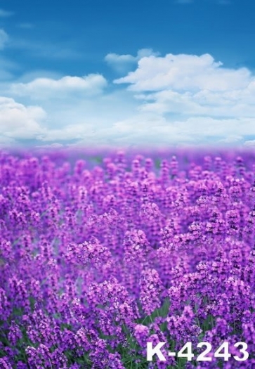 Lavender Flowers Garden White Clouds Scenic Photography Background Props