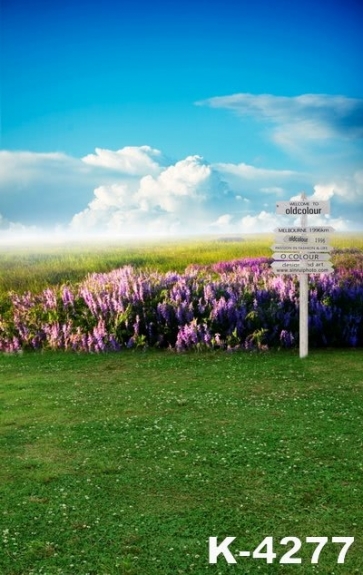 Green Grassland Lavender Flowers Garden White Clouds Scenic Studio Backdrop