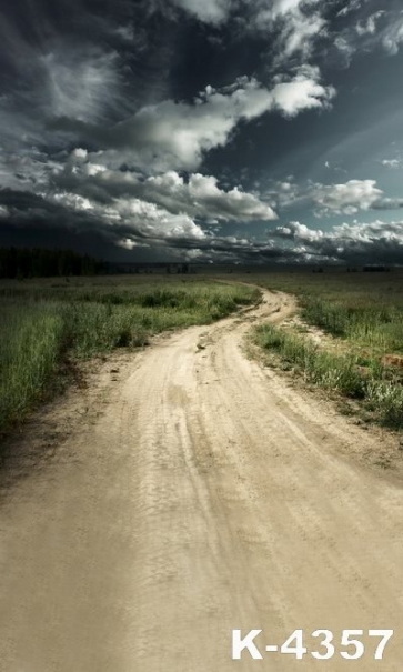Rustic Green Grassland Country Road Clouds Scenic Photo Prop Background