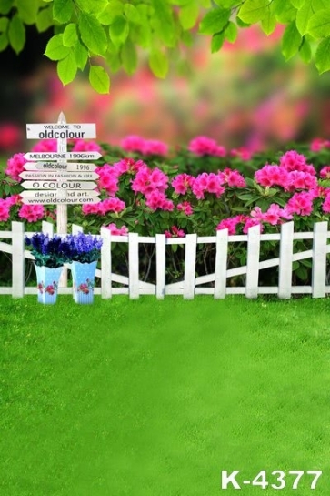 Spring Rose Red Flowers Garden Professional Photo Backdrops