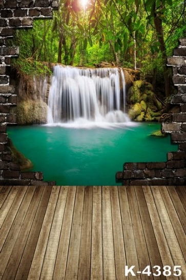 Jungle Outside the Wood Floor House Scenic Photo Wall Backdrop