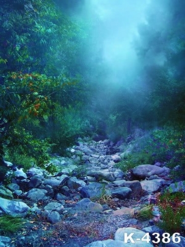 Dreamy Stones Gravel Path in Groves Scenic Backdrop Background for Photography