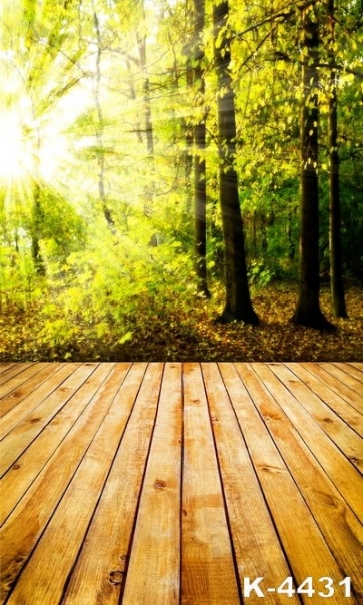Sunshine Through Groves Wood Floor Garden Backdrop Background