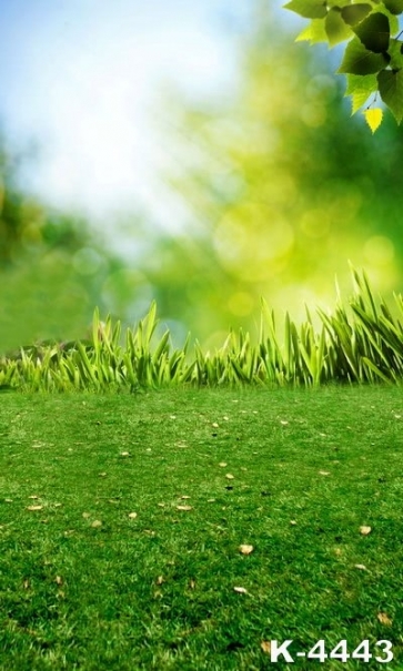 Spring Green Grassland Backdrop Background for Photography