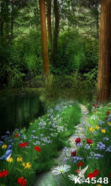 Beautiful Multicolor Flowers by Riverside in Groves Scenic Drop Studios Backdrops
