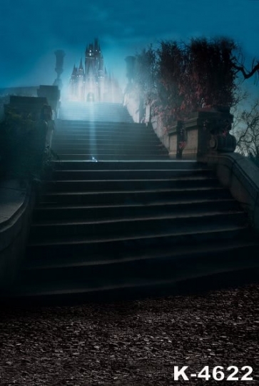 Nightscape Stairs to Castle Building Photographic Backdrops