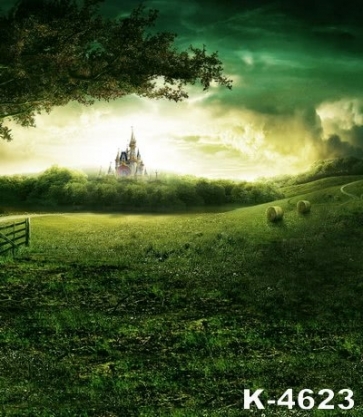 Castle on Green Suburban in Fairy Tales Photography Backgrounds and Props