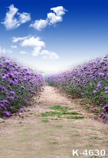 Lavender Farm Garden Purple Flowers Road Pro Photo Backdrops
