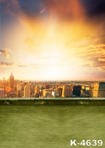 Overlooking City Sunset Building Scenic Backdrops Studio Background Vinyl Photography Backdrops