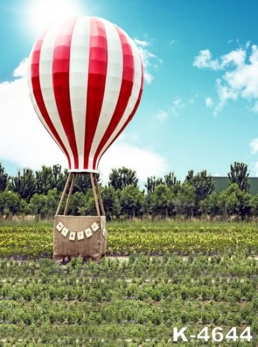 Hot Air Balloon Scenic Vinyl Photography Backdrops