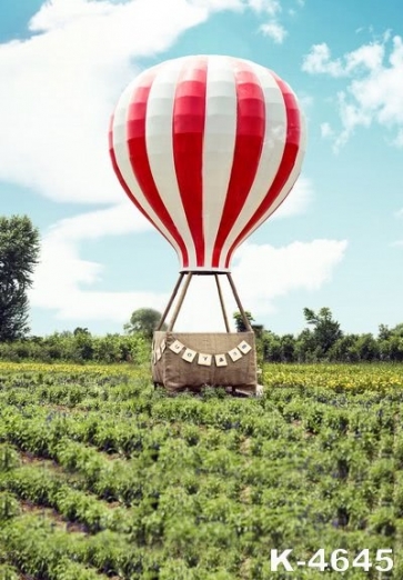 Rustic Hot Air Balloon Wedding Backdrops for Photography