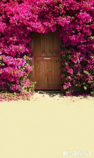Rose Red Flowers around Door Scenic Drop Studios Backdrops