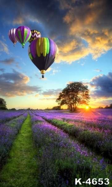 Multicolor Hot Air Balloons above Lavender Garden Photography Backgrounds