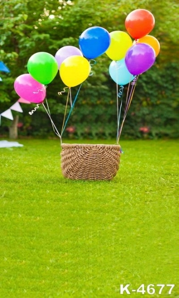 Balloon Basket Personalized Background Baby Photo Backdrops