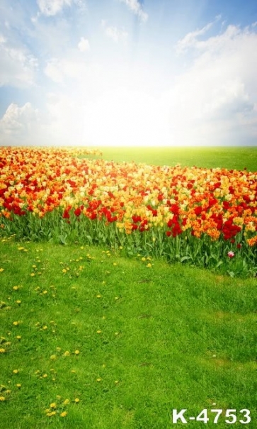 Beautiful Colorful Flowers Green Grassland Unique Photo Backdrops
