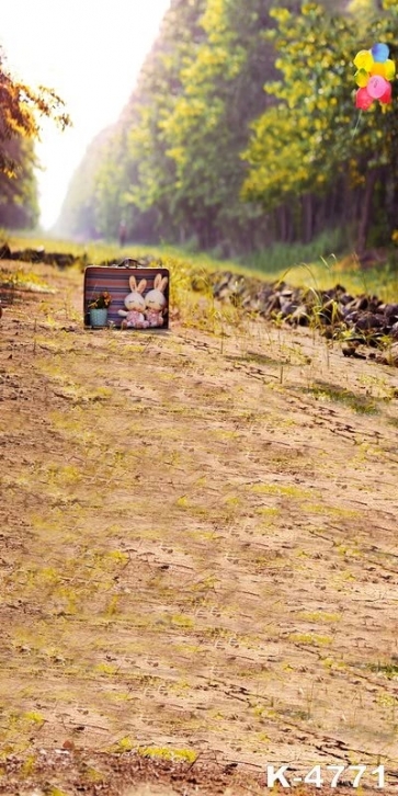 Country Road in Groves Scenic Drop Studios Backdrops