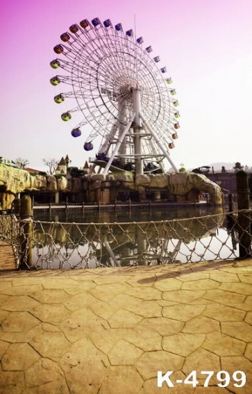 Ferris Wheel in Public Garden Vinyl Photography Backdrops