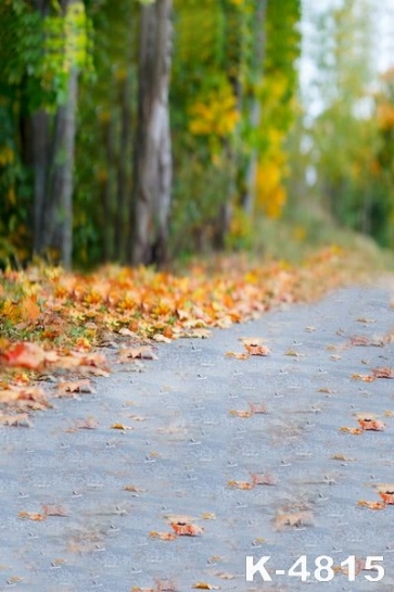 Autumn Yellow Fallen Leaves Roadside Scenic Photo Prop Background