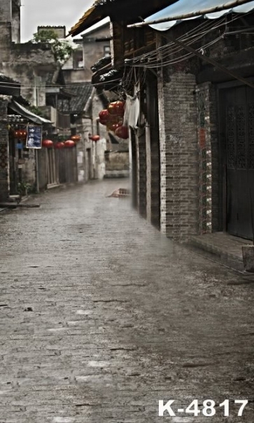 Retro Chinese Brick Houses Street Scenic Photography Studio Background
