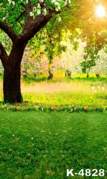 Spring Green Grassland Flowers Trees Garden Backdrop Background