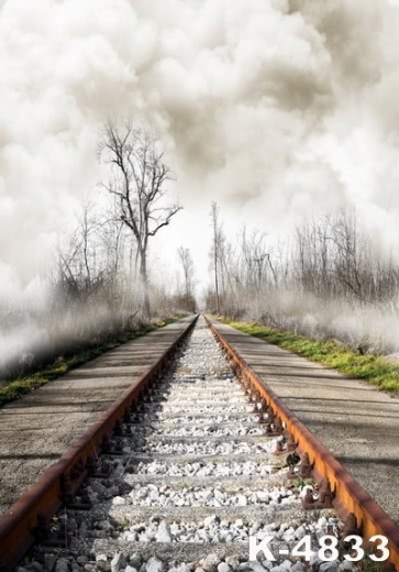 Railway Train Track Cloudy Scenic Photo Prop Background