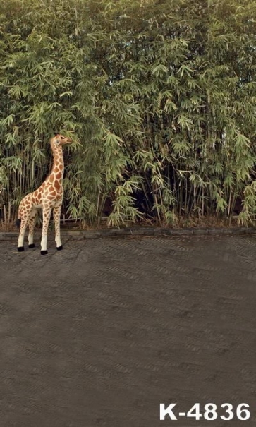 Giraffe Standing by Bamboo Grove Scenic Backdrop Background for Photography