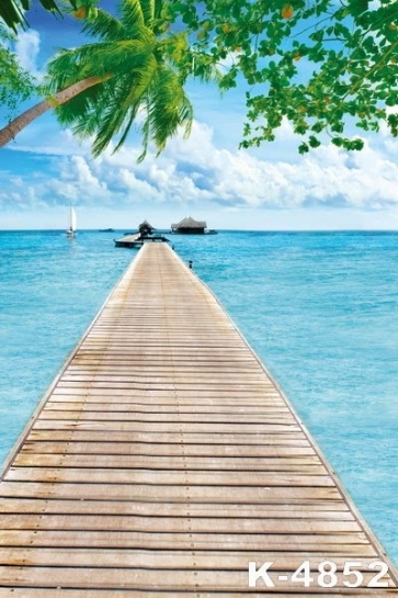Wooden Bridge In The Sea Scenic Photo Backdrops 
